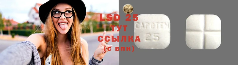 ссылка на мегу tor  купить наркотики сайты  Кисловодск  LSD-25 экстази кислота 